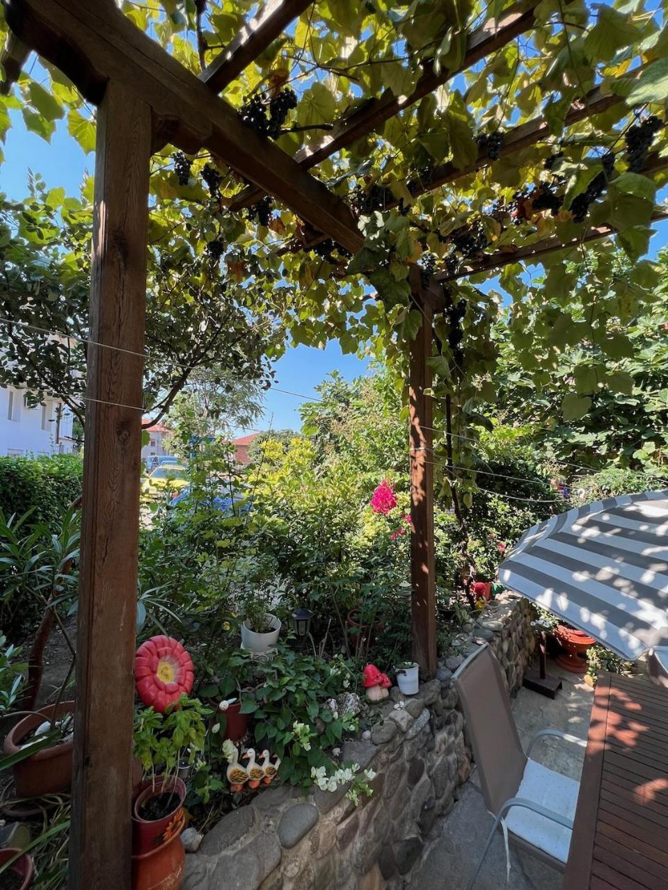Family Hotel Emilia Sozopol Exterior photo