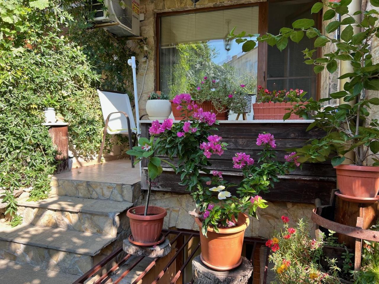 Family Hotel Emilia Sozopol Exterior photo